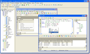 Einführungsschulung MySQL - Datenbankverwaltungssystem